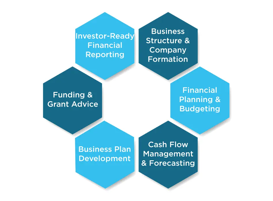 Why Professional Accounting Matters for Startups